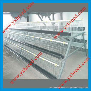 Layer Poultry Cages